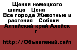 Щенки немецкого шпица › Цена ­ 20 000 - Все города Животные и растения » Собаки   . Алтайский край,Алейск г.